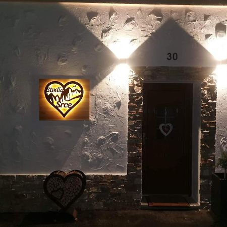 Studio Srce Kranjska Gora Extérieur photo